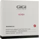 Лікувальний набір для обличчя - Gigi Treatment Set 103879 фото 1 Pro Cosmetos