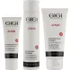 Лікувальний набір для обличчя - Gigi Treatment Set 103879 фото 2 Pro Cosmetos