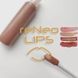 Блеск для губ - ReNeo Lips Carmine D01 фото 9 Pro Cosmetos