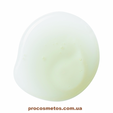 Натуральный очищающий гель для лица - Christina Line Repair Nutrient Pure Natural Cleanser CHR862 ProCosmetos